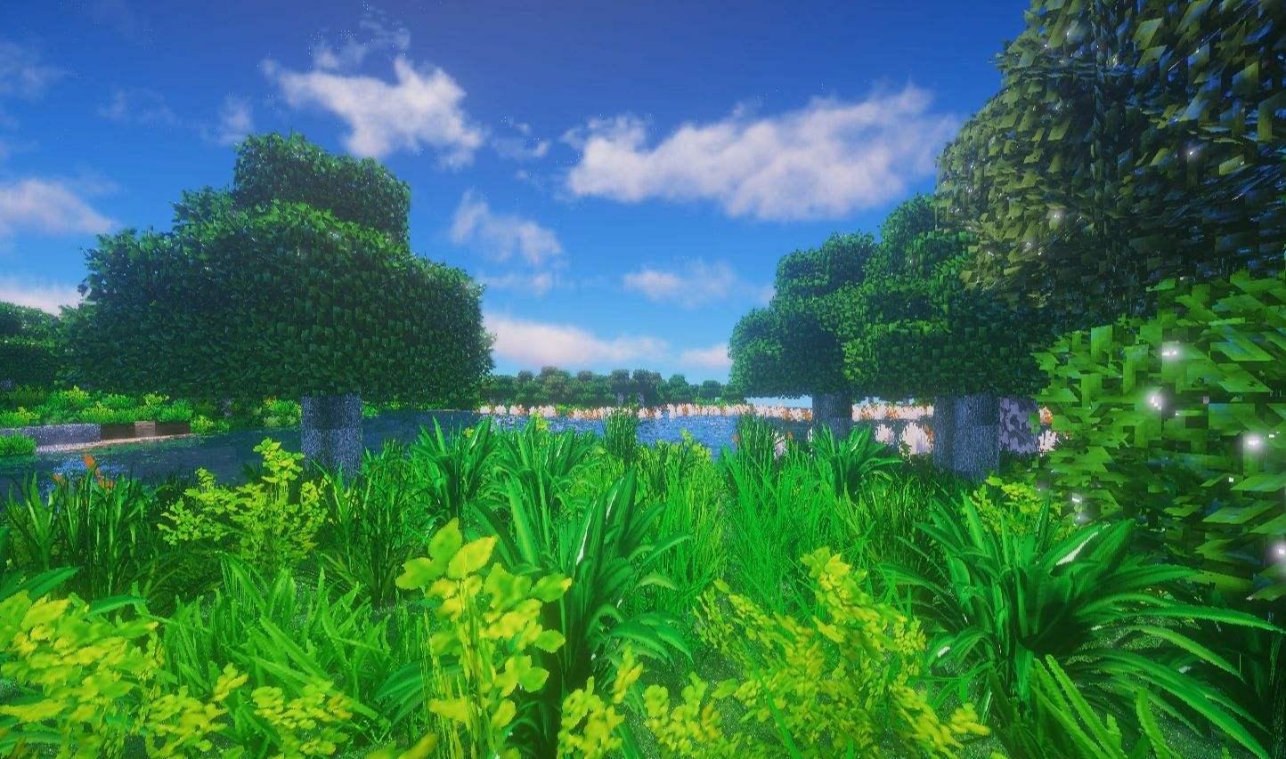 64.jpg