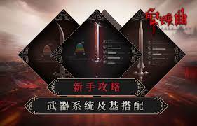 下载 (2).jpg