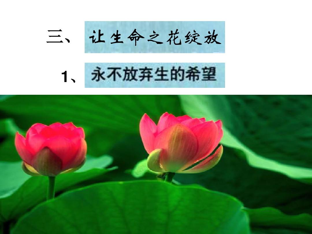 败类歌曲_败类在线听歌mp3_败类