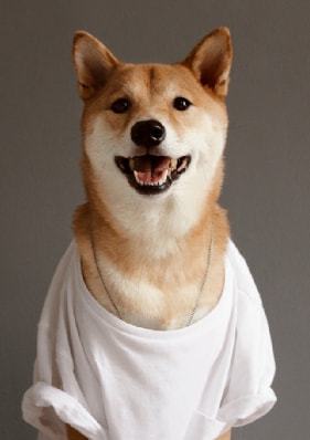 哎呦绅士还能看吗_哎呦绅士五_哎呦绅士