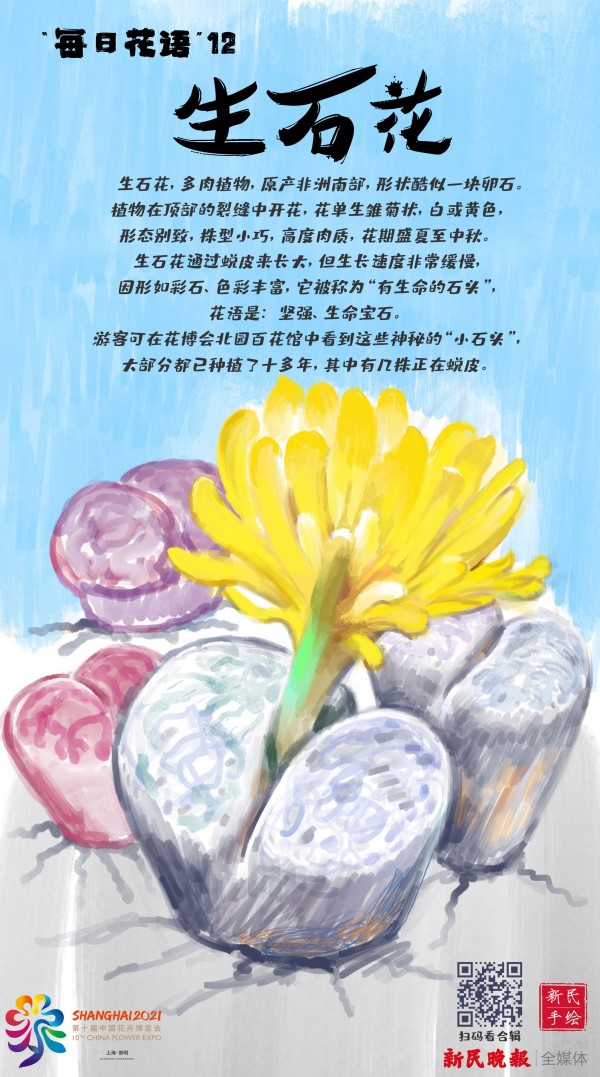 美人关游戏_美人游戏小说闲云野鹤_美人小游戏
