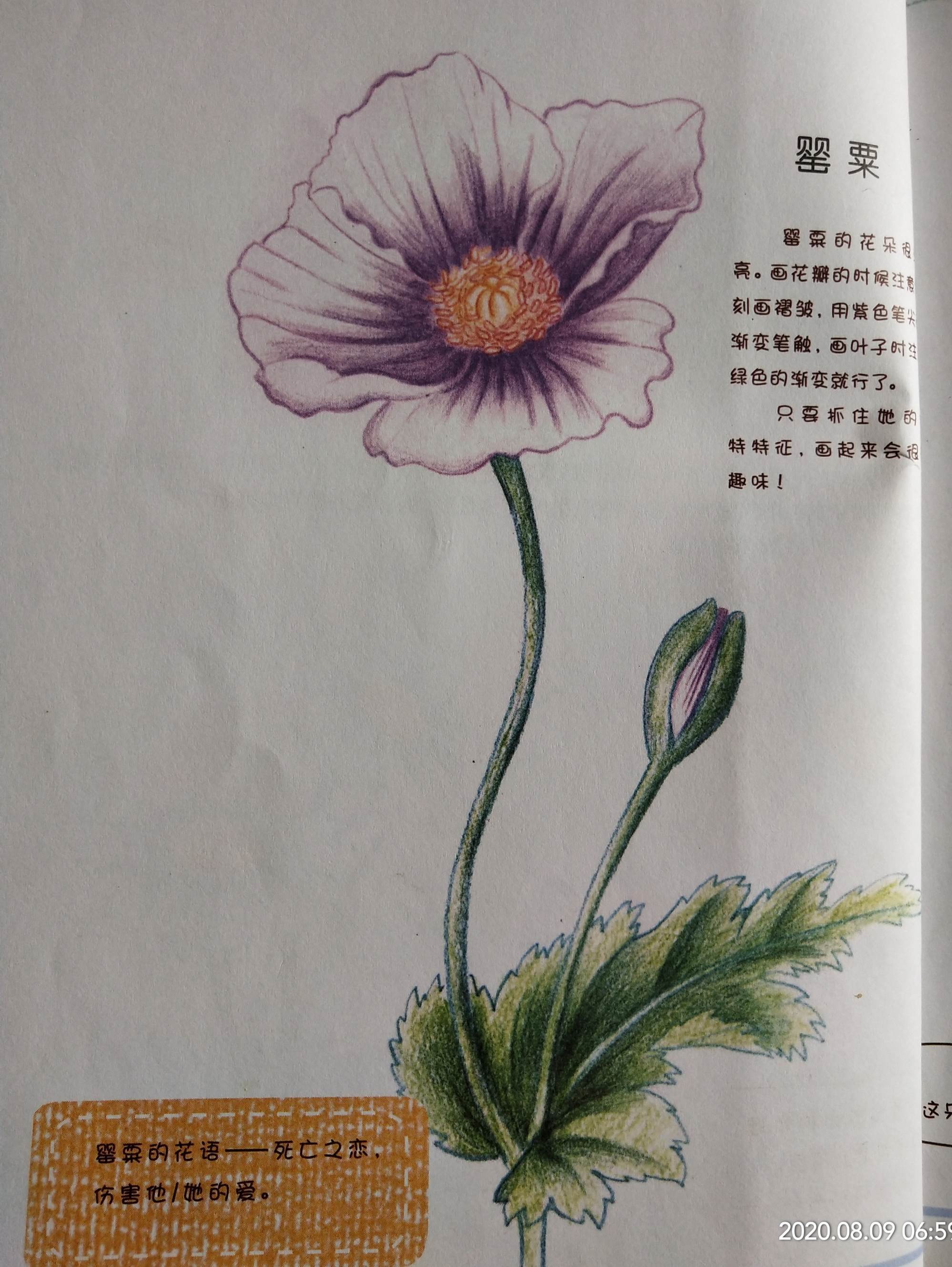 美人小游戏_美人关游戏_美人游戏小说闲云野鹤