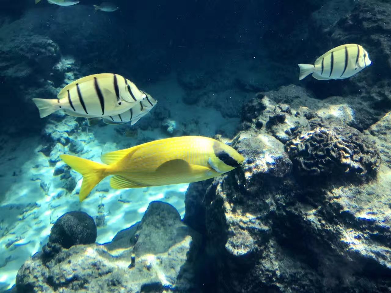 生物海济客服在哪里找_海济生物app下载_海济生物app怎么下载不了
