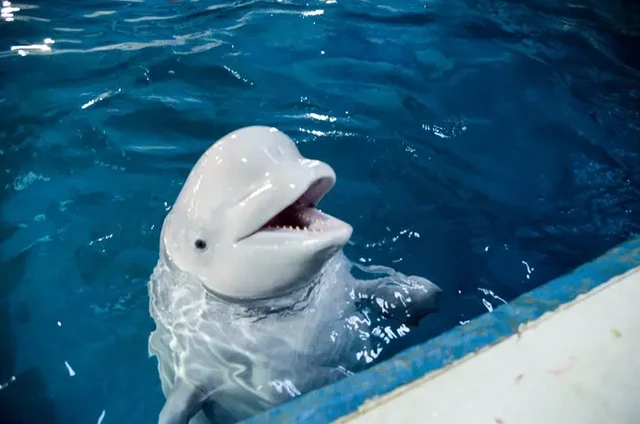 生物海济客服在哪里找_海济生物app怎么下载不了_海济生物app下载