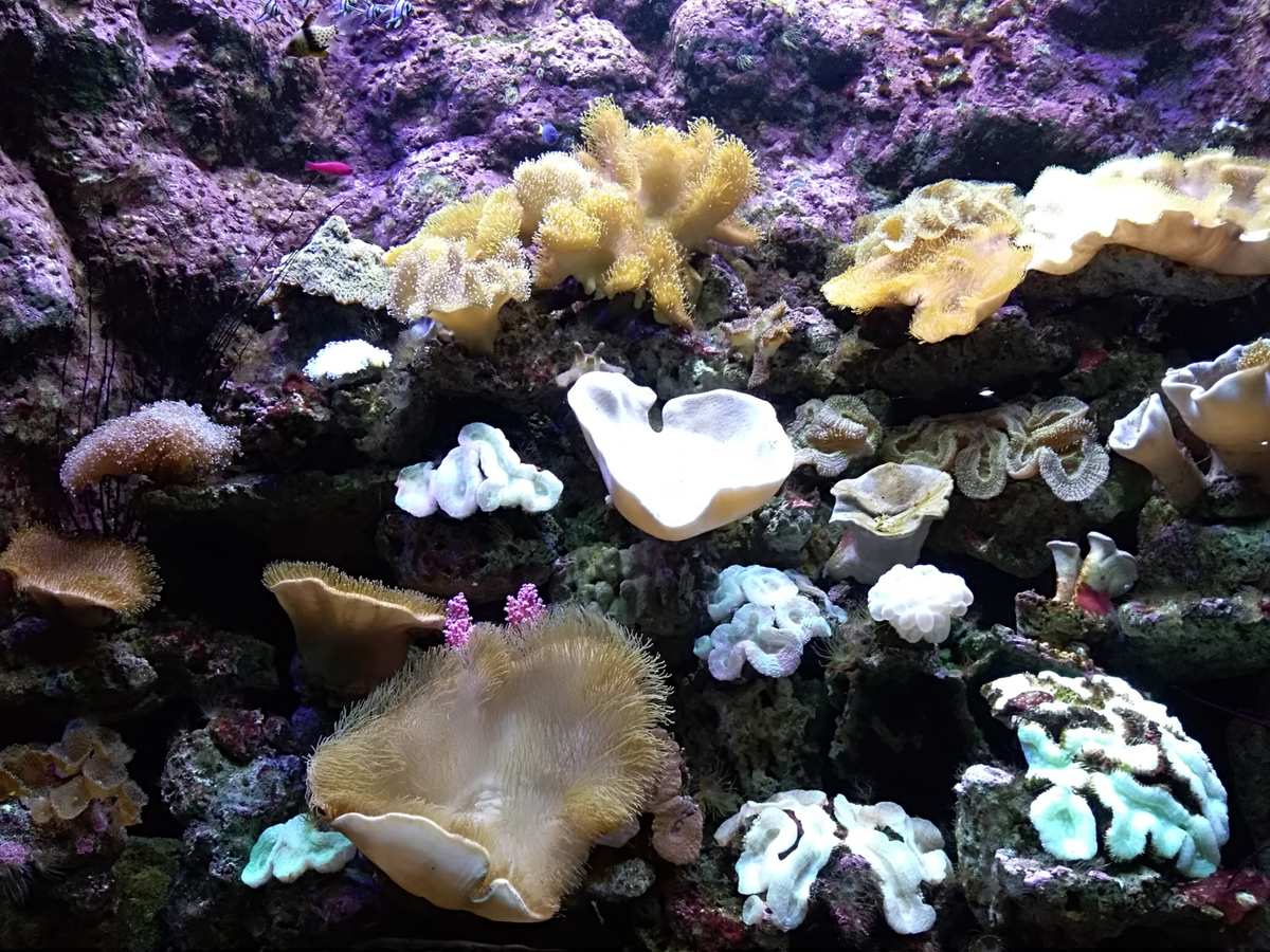 海济生物app怎么下载不了_海济生物app下载_生物海济客服在哪里找
