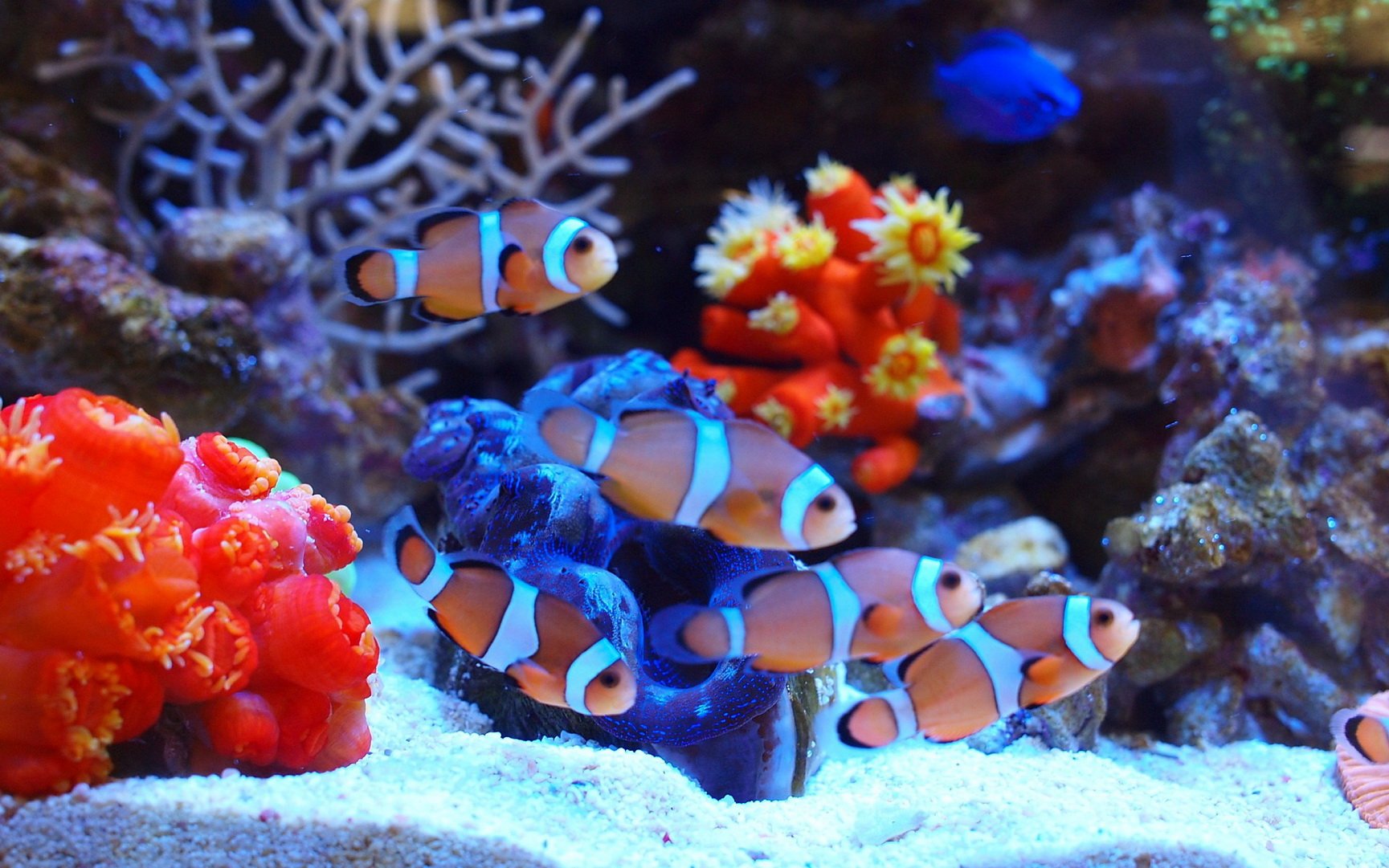 生物海济客服在哪里找_海济生物app下载_海济生物app怎么下载不了