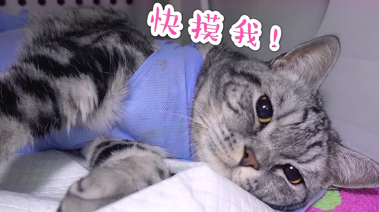 快猫在线视频_快猫在线视频_快猫在线视频
