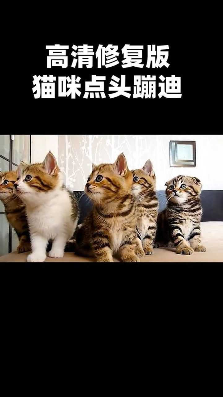 快猫在线视频_快猫在线视频_快猫在线视频