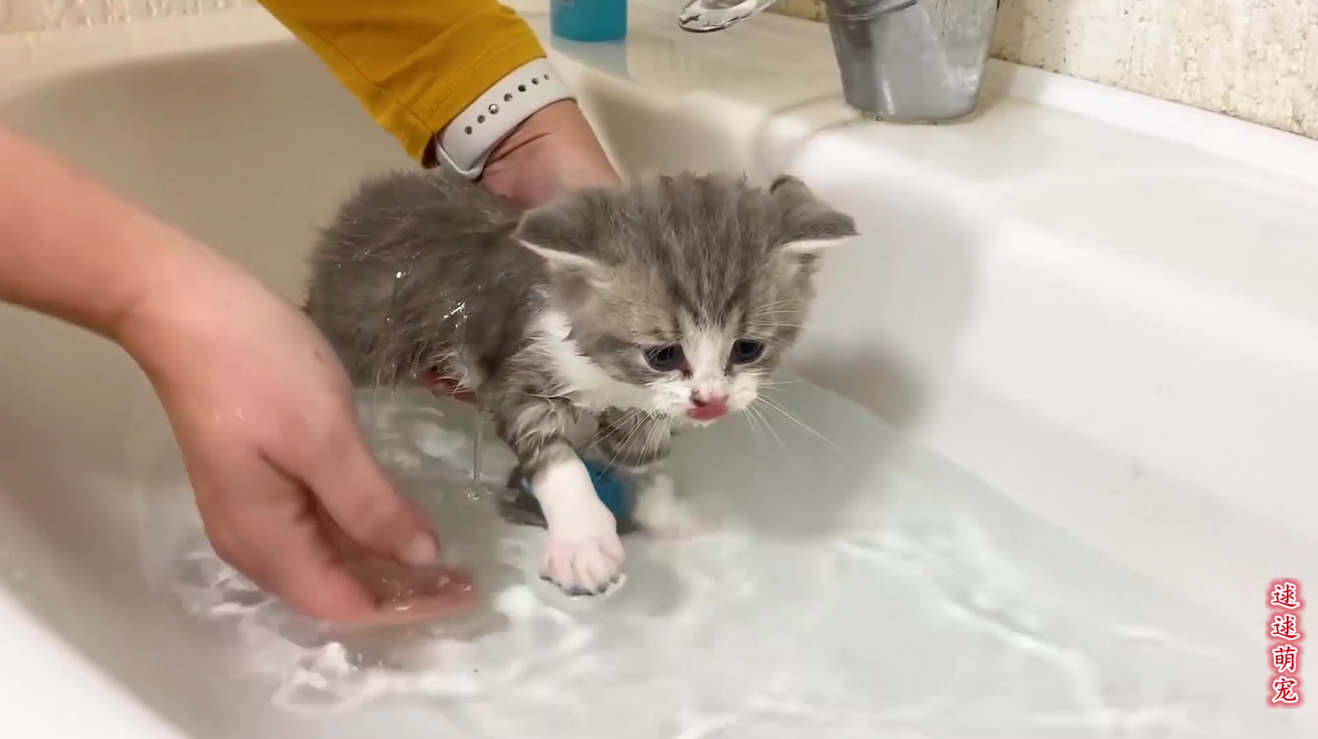 快猫在线视频_快猫在线视频_快猫在线视频