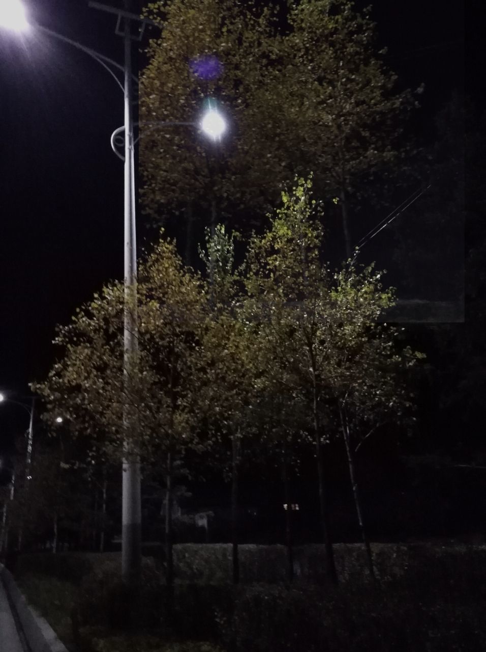 夜爱_夜爱_夜爱
