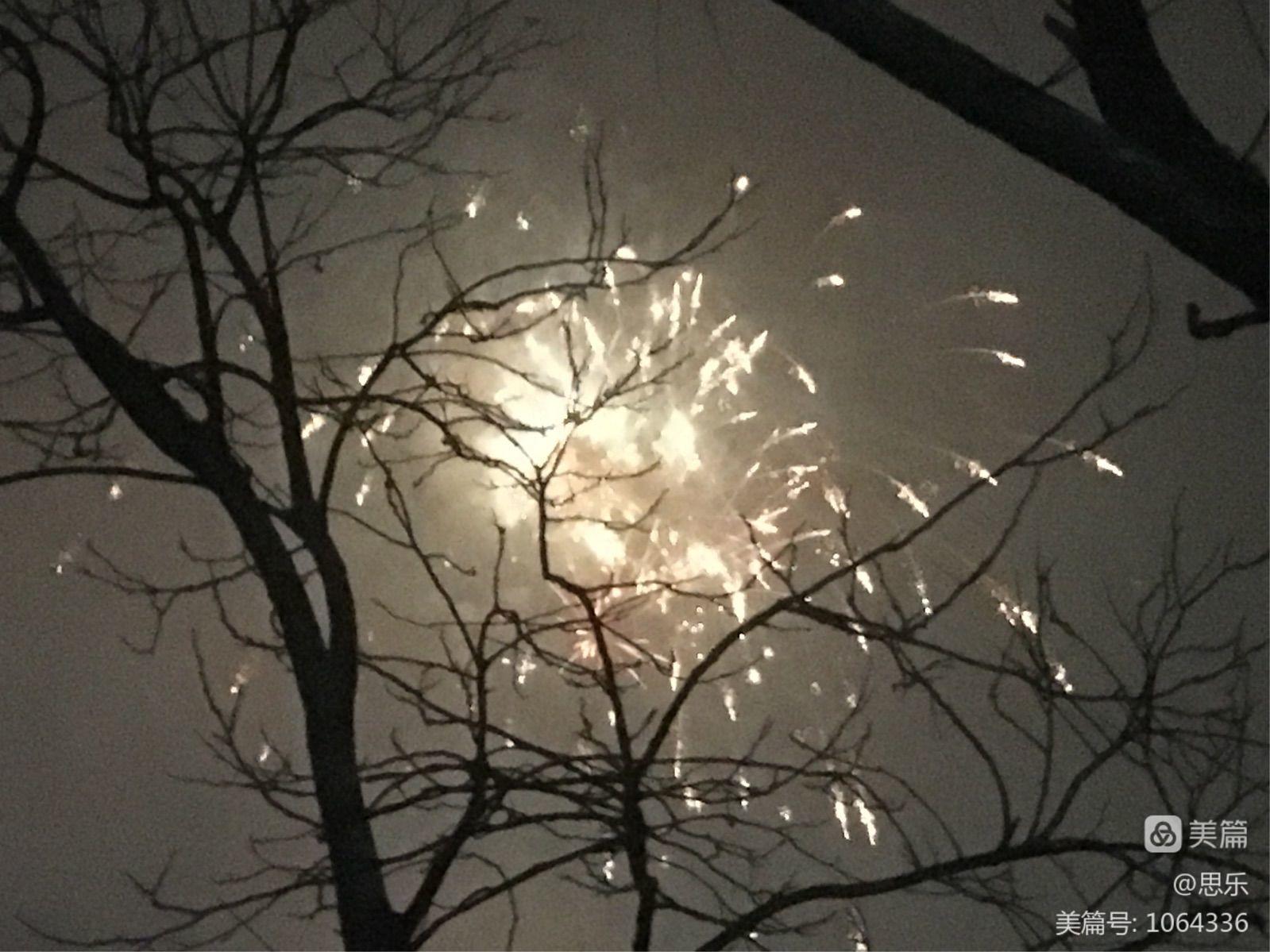 夜爱_夜爱_夜爱