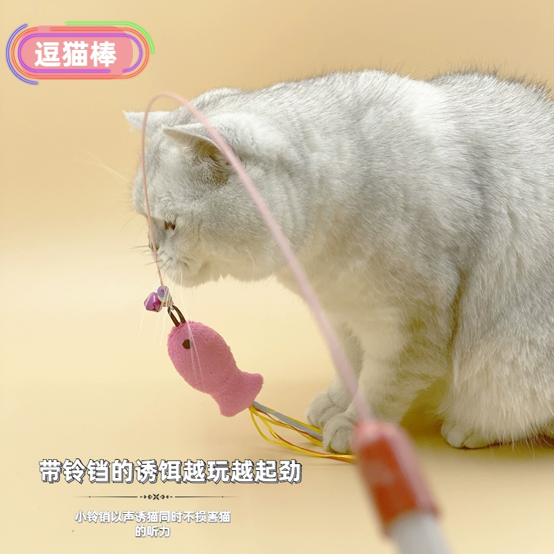 成人猫咪观看免费网站视频_成人猫咪观看免费网站大全_猫咪成人网免费观看