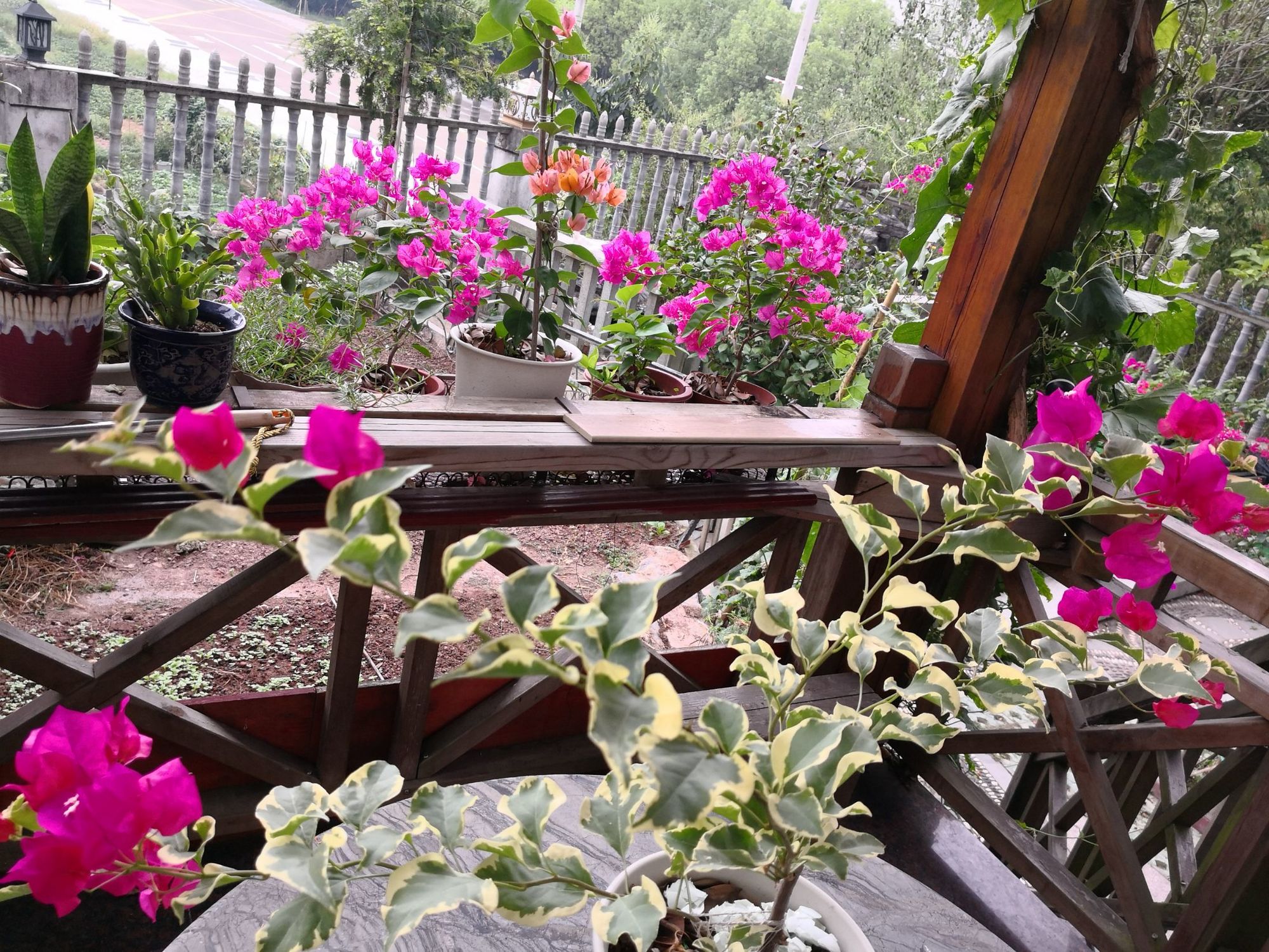 仲夏庭院怎么过_仲夏庭院怎么过_仲夏庭院怎么过