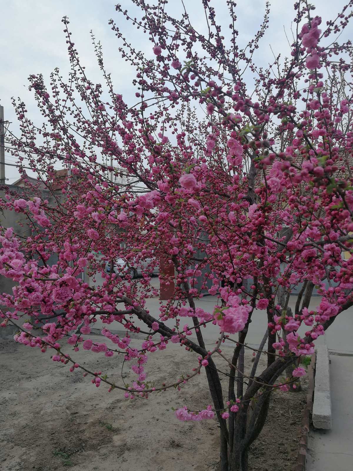 仲夏庭院怎么过_仲夏庭院怎么过_仲夏庭院怎么过