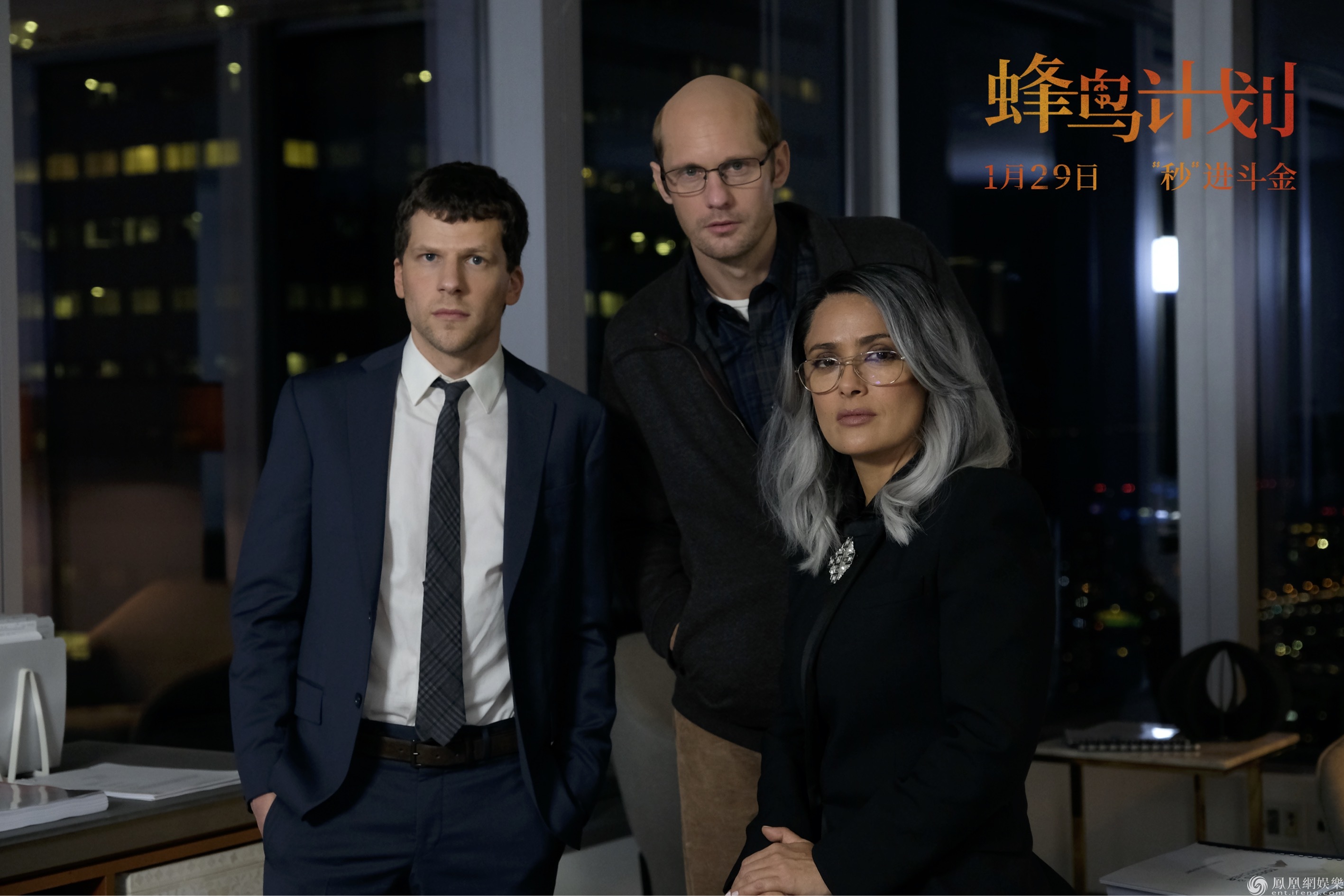 下载蜂鸟电视剧_蜂鸟追剧正版下载_蜂鸟追剧下载