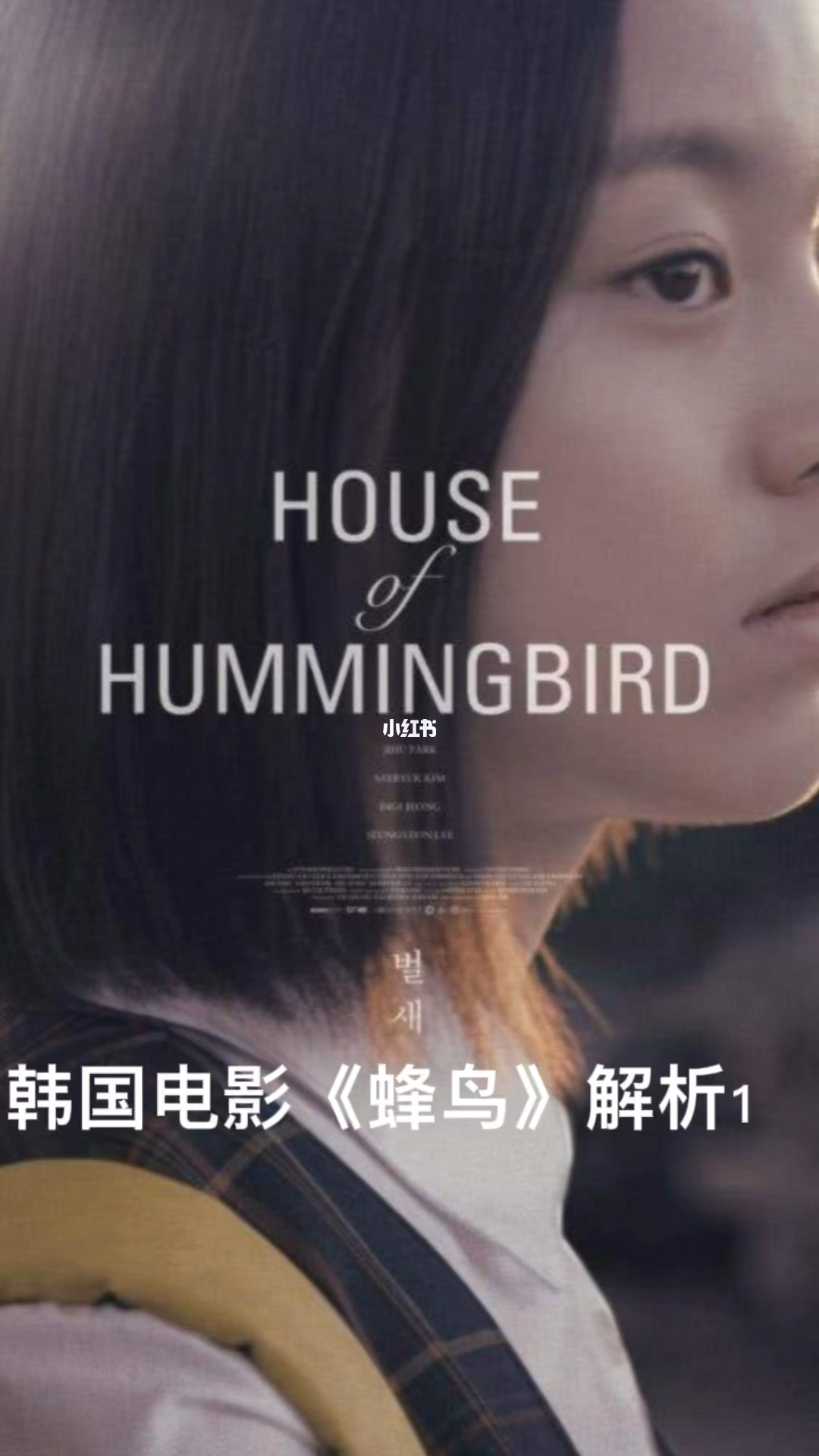 蜂鸟追剧下载_下载蜂鸟电视剧_蜂鸟追剧正版下载