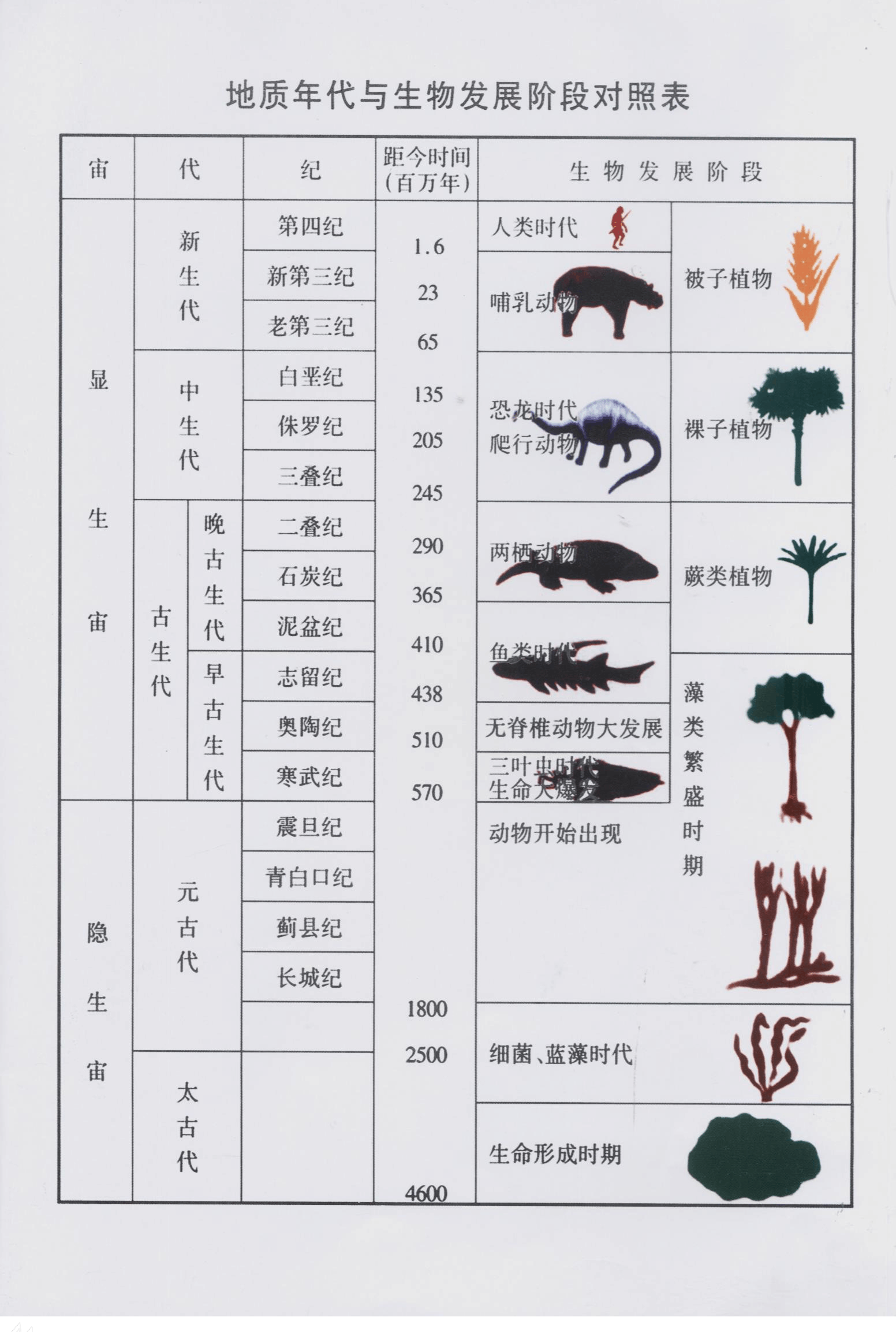 隆隆岩怎么进化_口袋妖怪地幔岩进化_口袋妖怪魂银火岩鼠进化