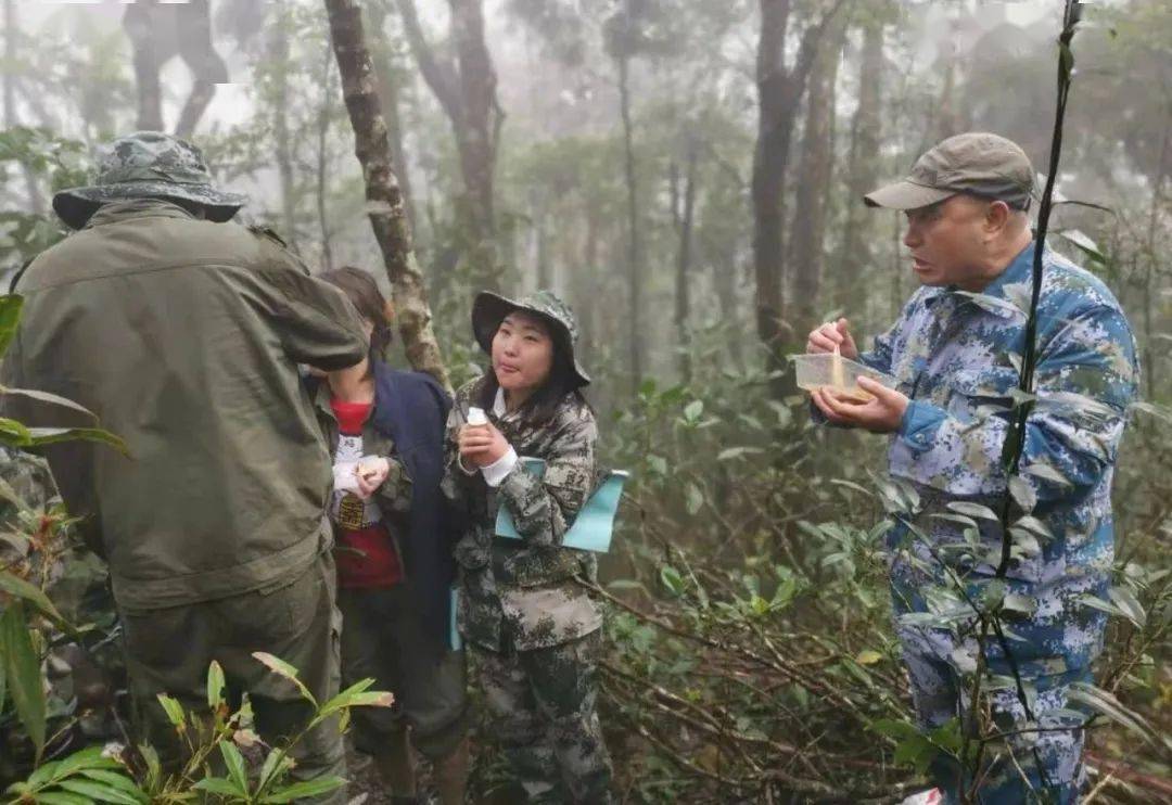 硝石在哪里可以采集到_文明6怎么获得硝石_硝石怎么获得
