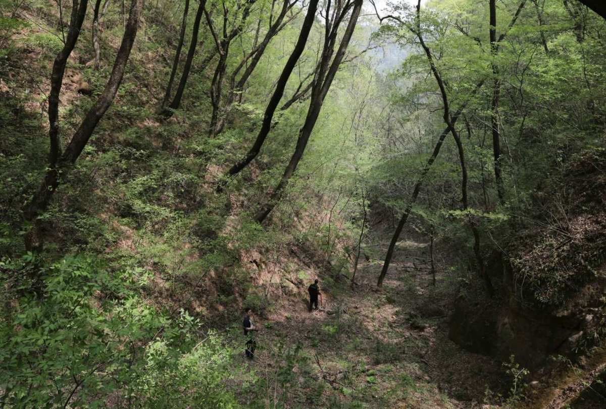 硝石怎么获得_硝石在哪里可以采集到_文明6怎么获得硝石