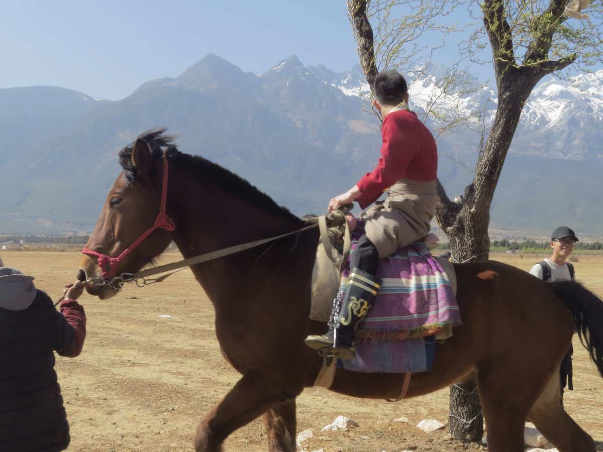 风之旅人_风之旅人手机版_旅人风采
