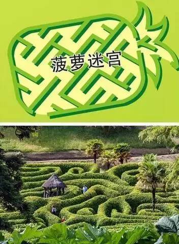 丁波罗是一种药材_波罗丁_波罗丁