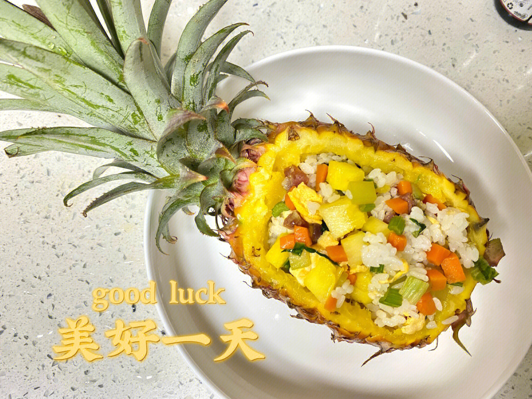 菠萝饭app为什么停止运行_菠萝饭app停止运营了吗_菠萝饭app