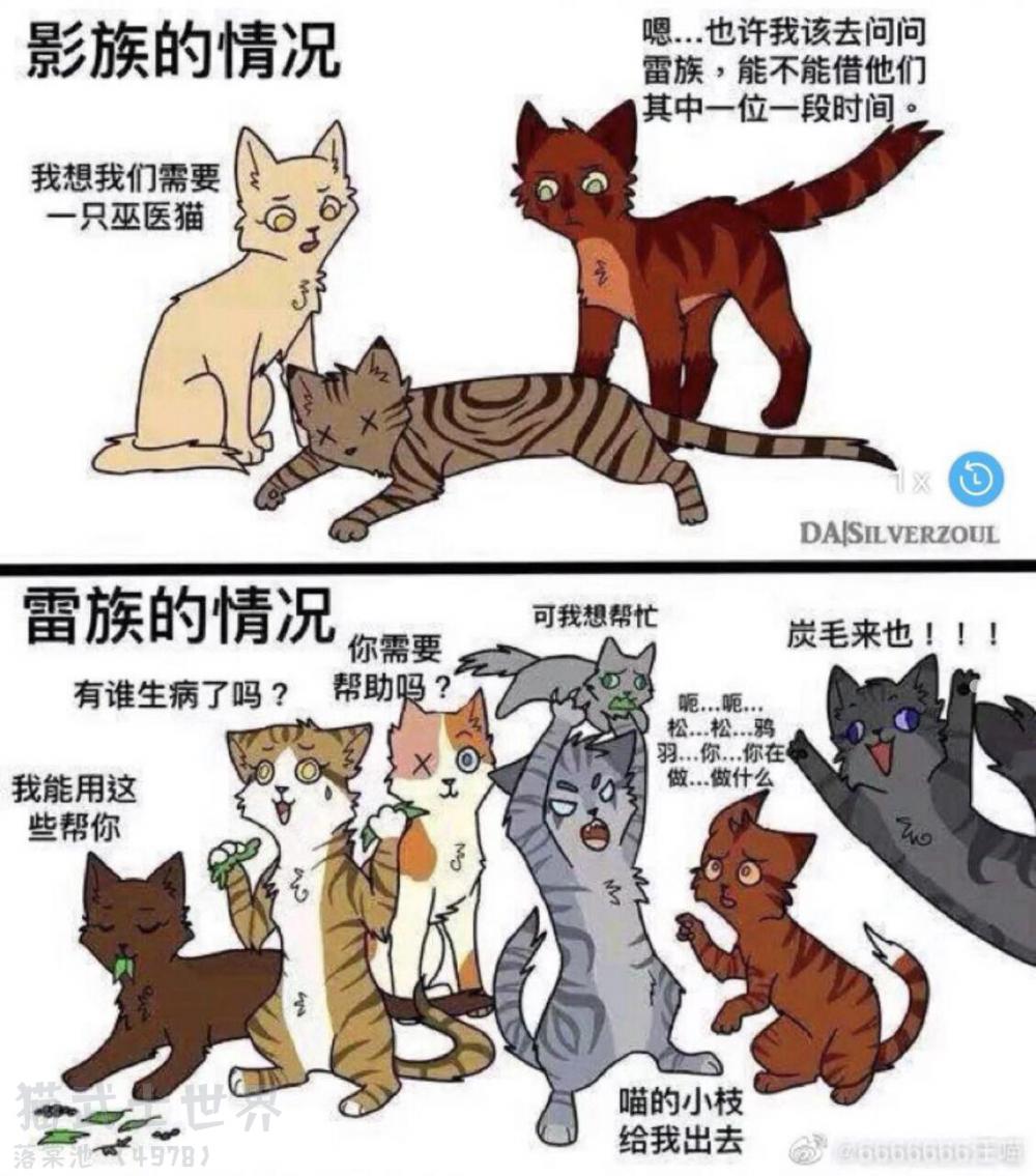 大本达蒙红袜队_红猫大本猫营_网络红猫红小胖