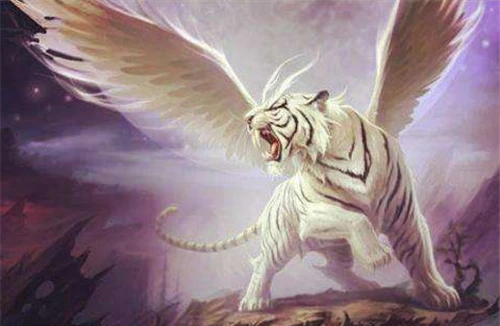 白虎之魂_白虎之魂_白虎之魂