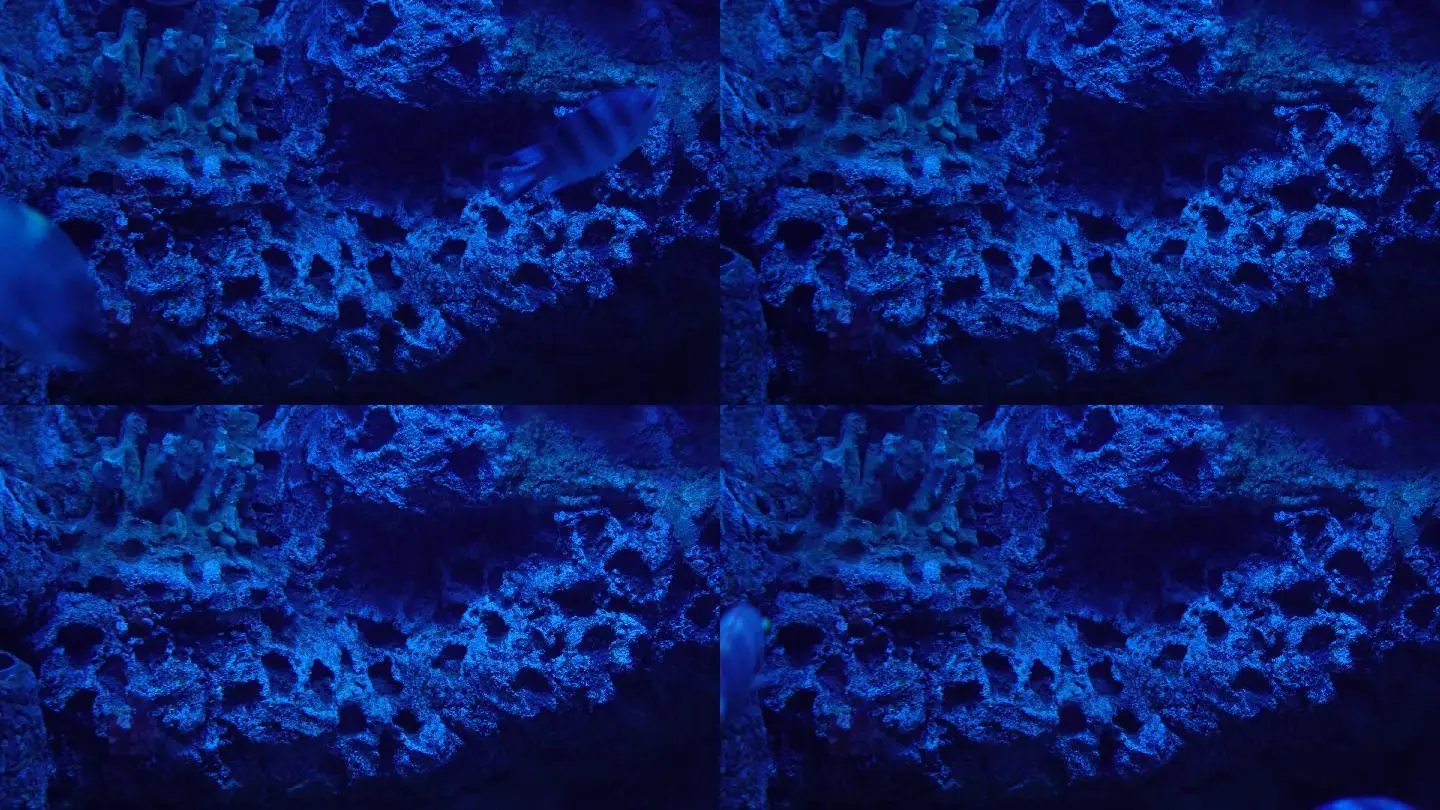 深海游戏音乐_深海游戏雷雨心_深海游戏