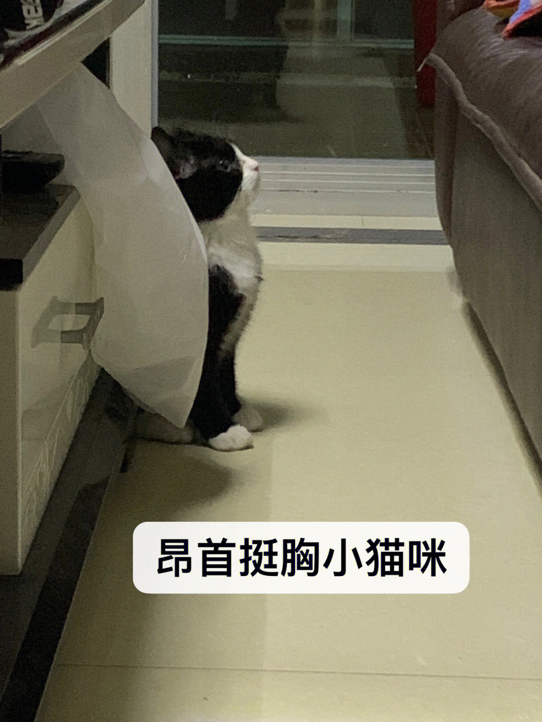以前苹果手机怎么隐藏游戏_苹果隐藏游戏怎么恢复_苹果隐藏的游戏