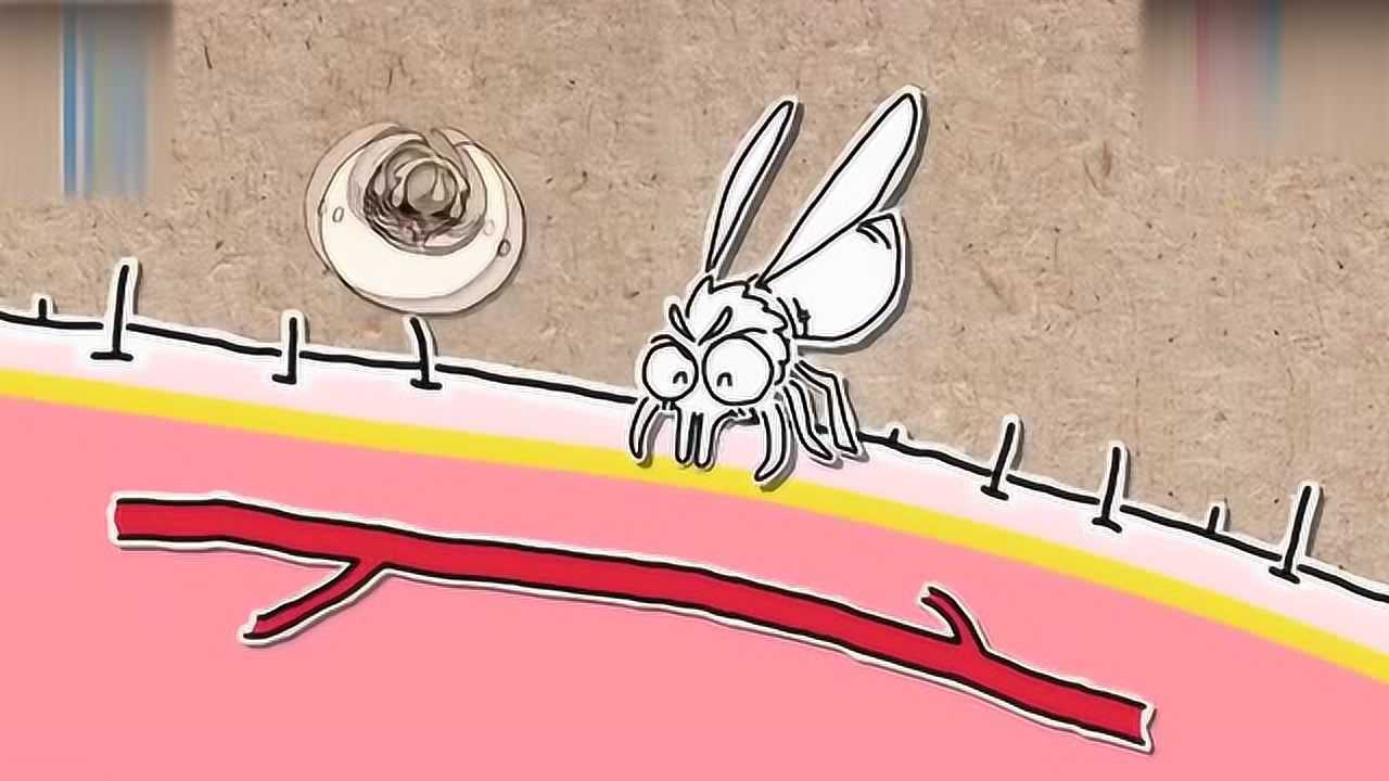 蚊子吸血是什么游戏_蚊子吸血搞笑图_吸血小蚊子游戏下载手机版
