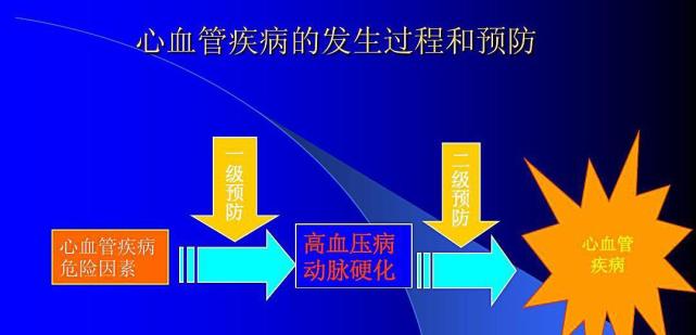 血管软件_手机角色游戏_血管手机游戏