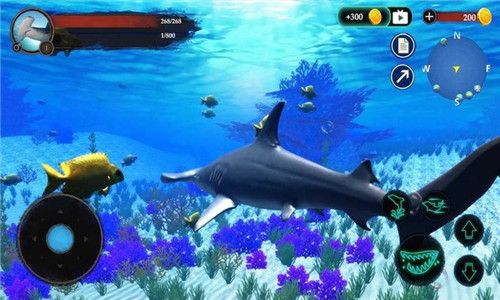 推荐海洋手机游戏_海洋类游戏排行_海洋类手游