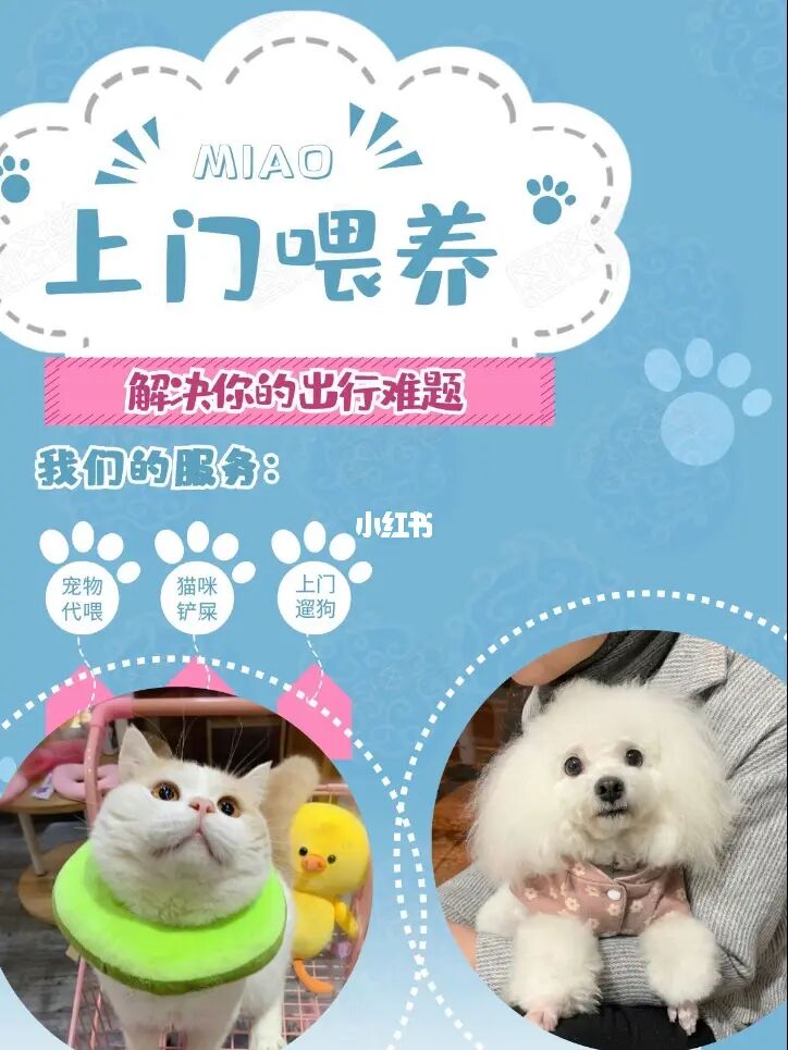 养成宠物手机游戏推荐_养成宠物的游戏_养成宠物游戏手机