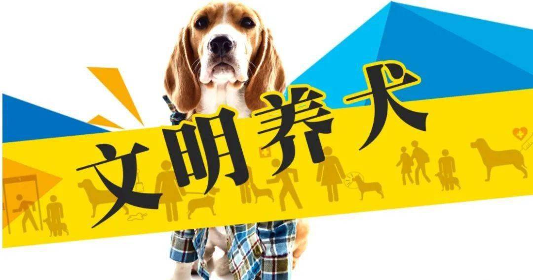 养成宠物的游戏_养成宠物游戏手机_养成宠物手机游戏推荐