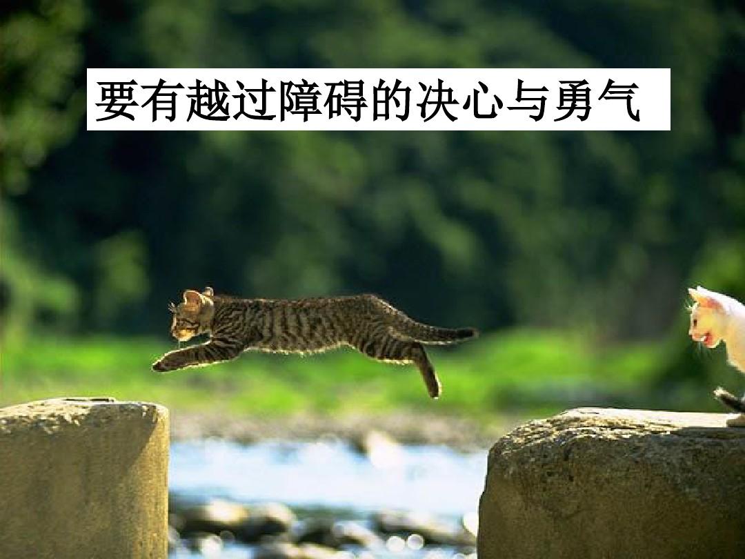勇敢的心游戏新版安卓_勇敢心版手机游戏官网_勇敢的心游戏手机版
