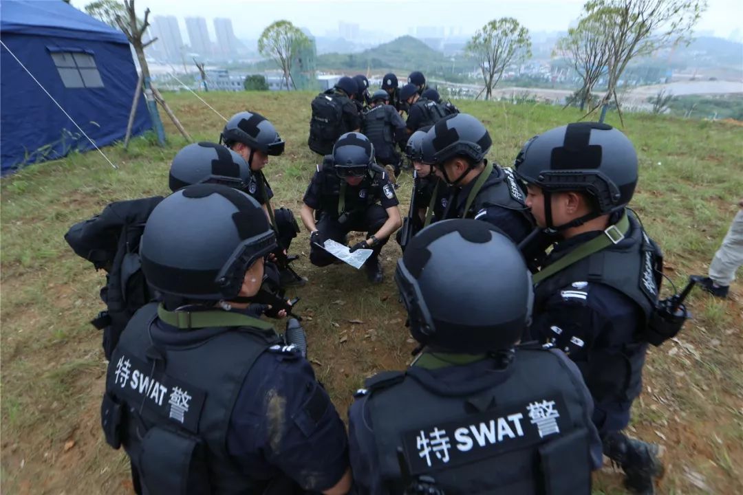 推荐好玩手机特警游戏下载_特警游戏手机版_有特警的游戏