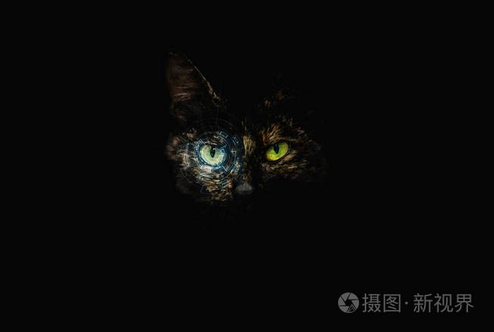 黑暗变成模式手机游戏叫什么_游戏如何变成黑暗模式手机_黑暗变成模式手机游戏怎么玩