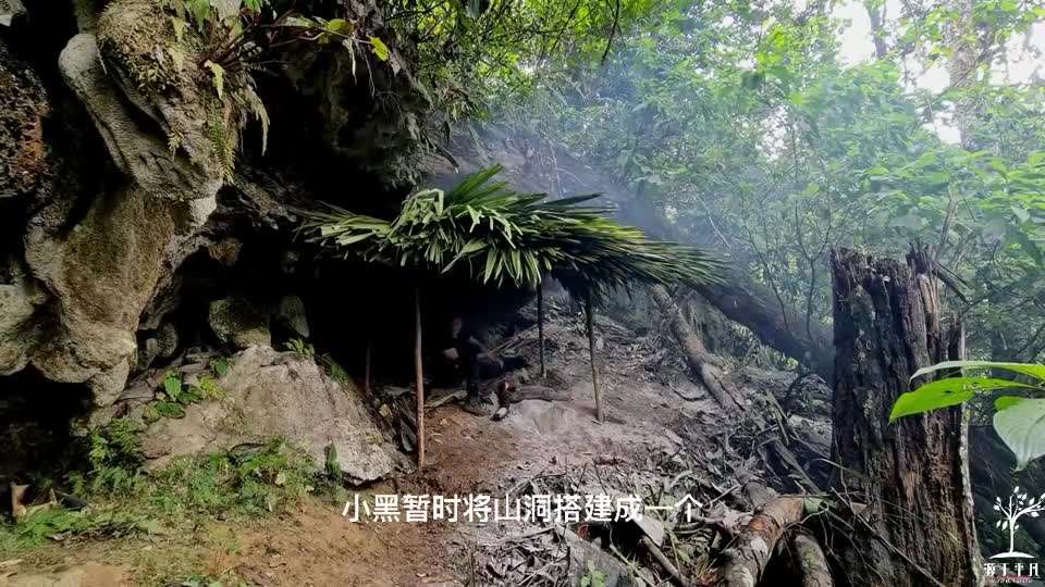 野外求生类手机游戏_野外求生类单机游戏_野外求生类手机游戏推荐
