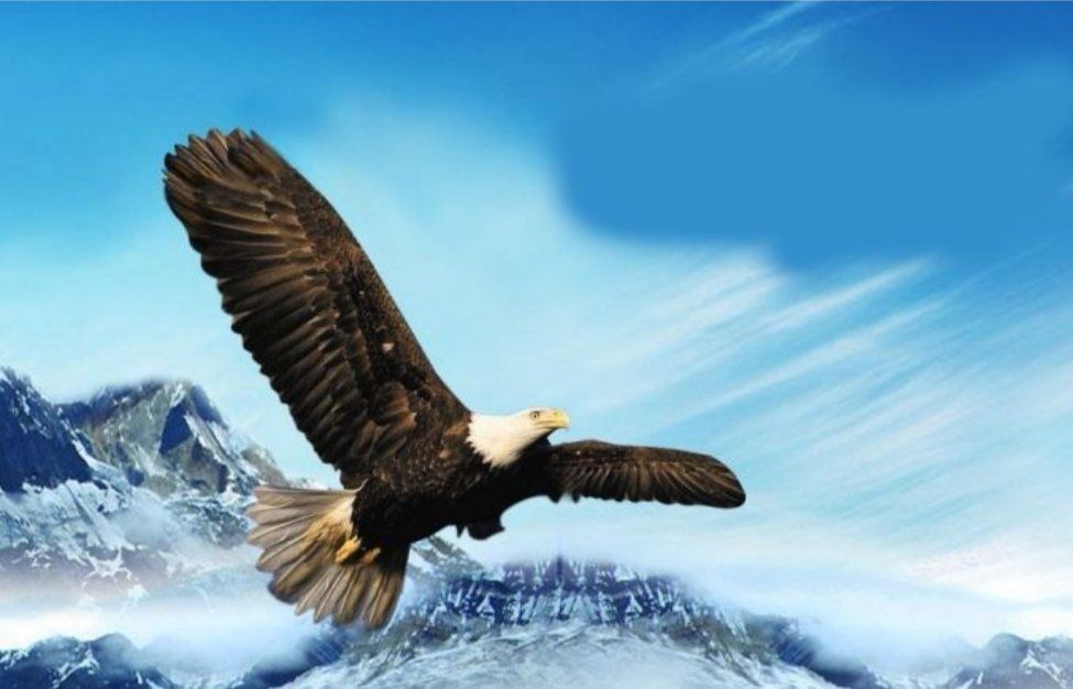 空我_空腹血糖正常值_空白符号