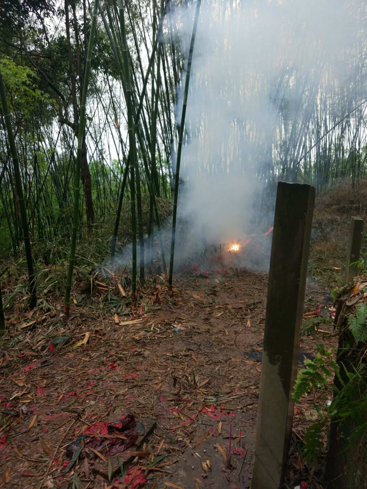 清明节起源有哪些说法_清明节起源源流_清明节起源