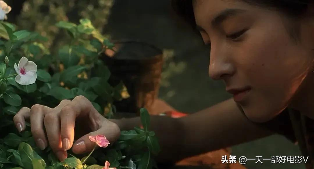 沉默真相是真实故事吗_沉默的真相1080p_沉默真相演员名单