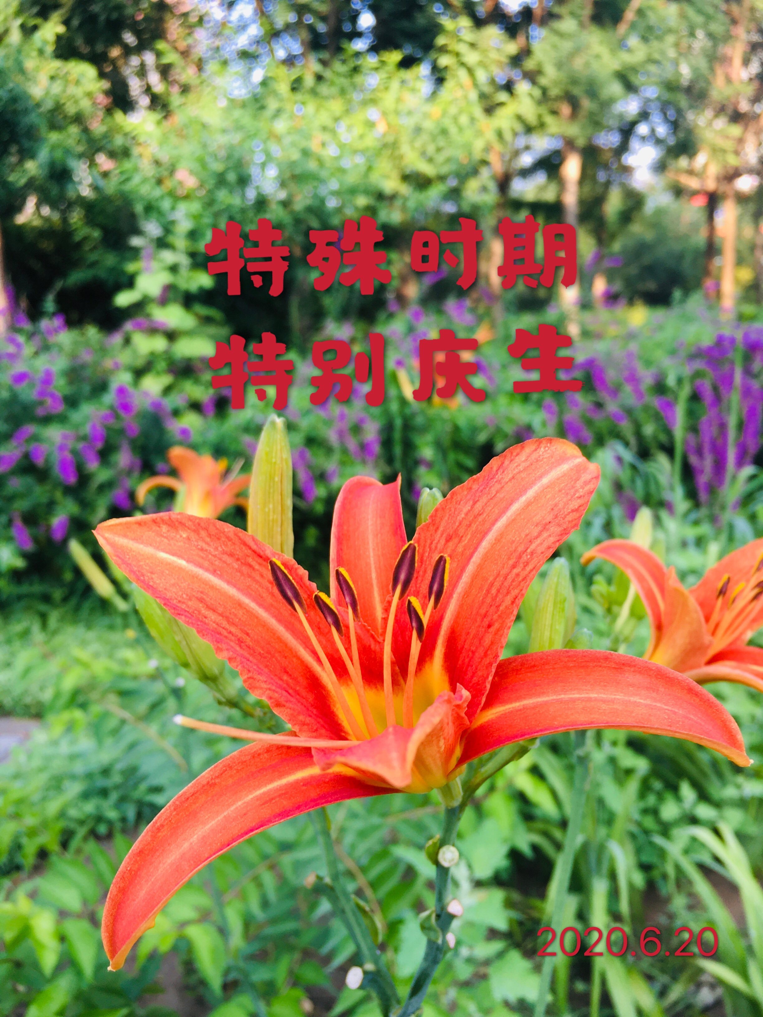 月日是啥意思_3月23日是什么日子_日子是啥