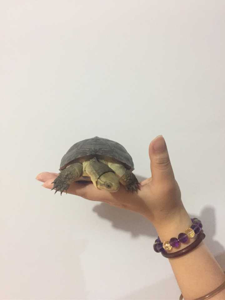当前北京时间精确到秒_当前北京时间是多少_当前北京时间