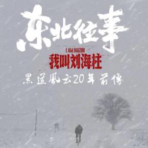 东北往事战斗力_东北往事视频_东北往事立功