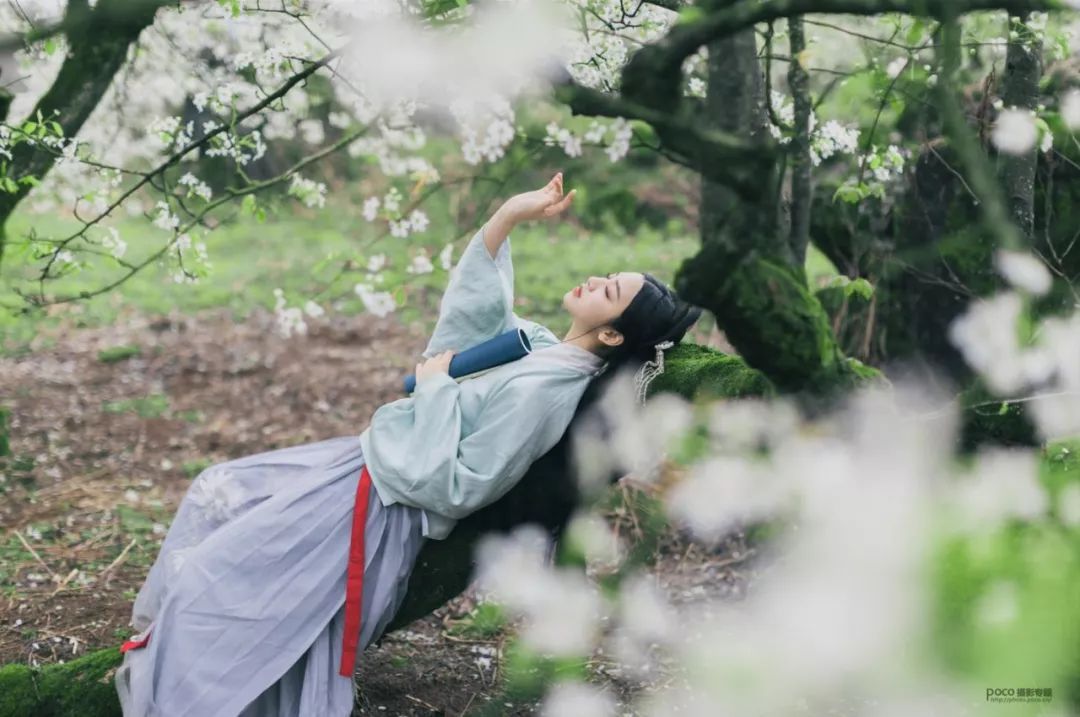 梨花古画_古手梨花_古手梨花