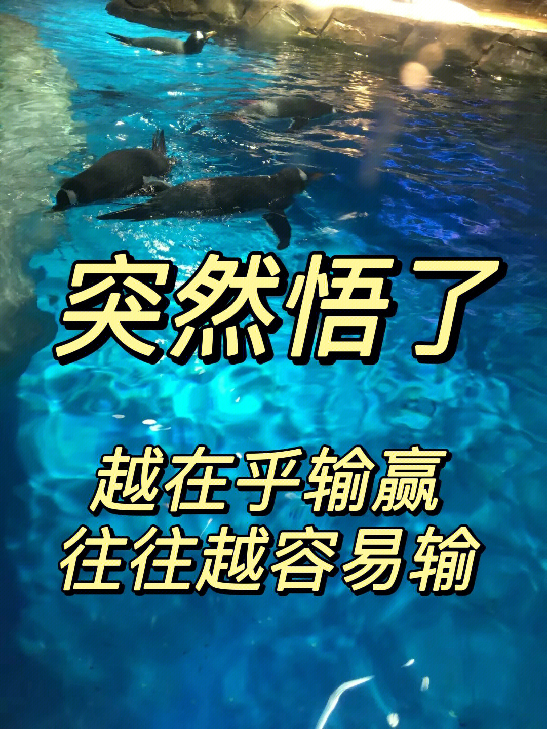 游戏输了捏手机_手机纯捏脸游戏捏全身_游戏捏捏图案