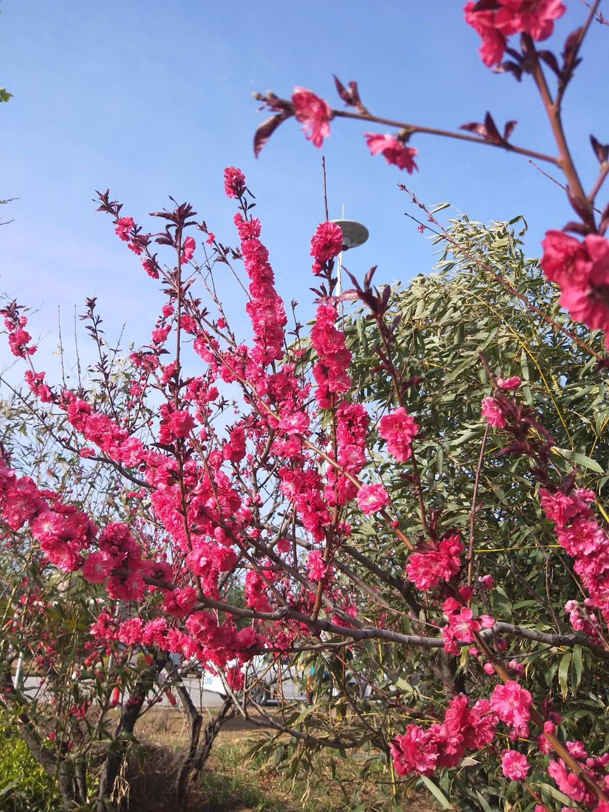 3.20日是什么日子_3.20日是什么日子_日子是什么意思