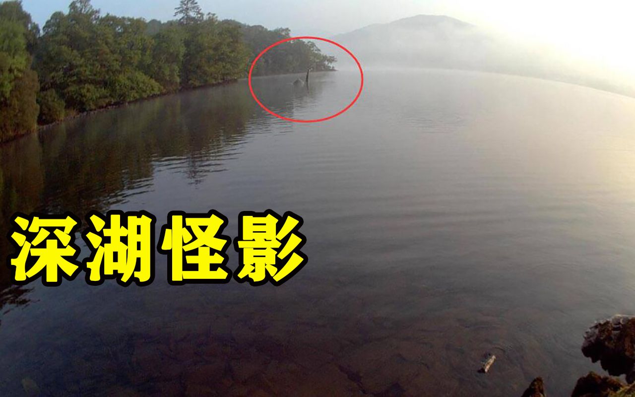 **湖_东丽湖万科城鹭湖_湖组词
