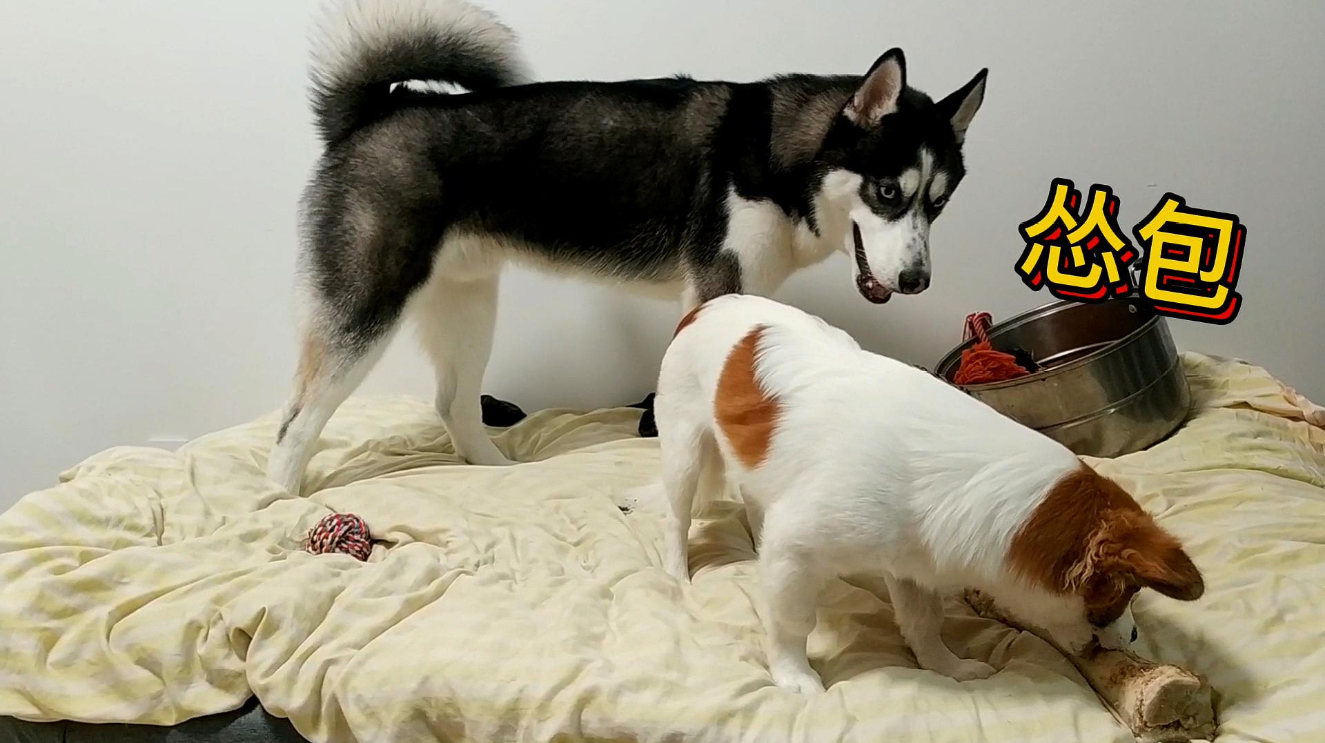 在线视频看看_在线视频看看_在线视频看看